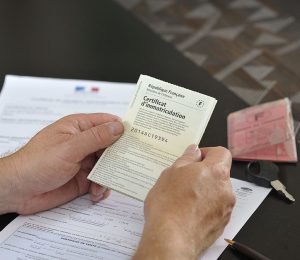 carte grise perdue