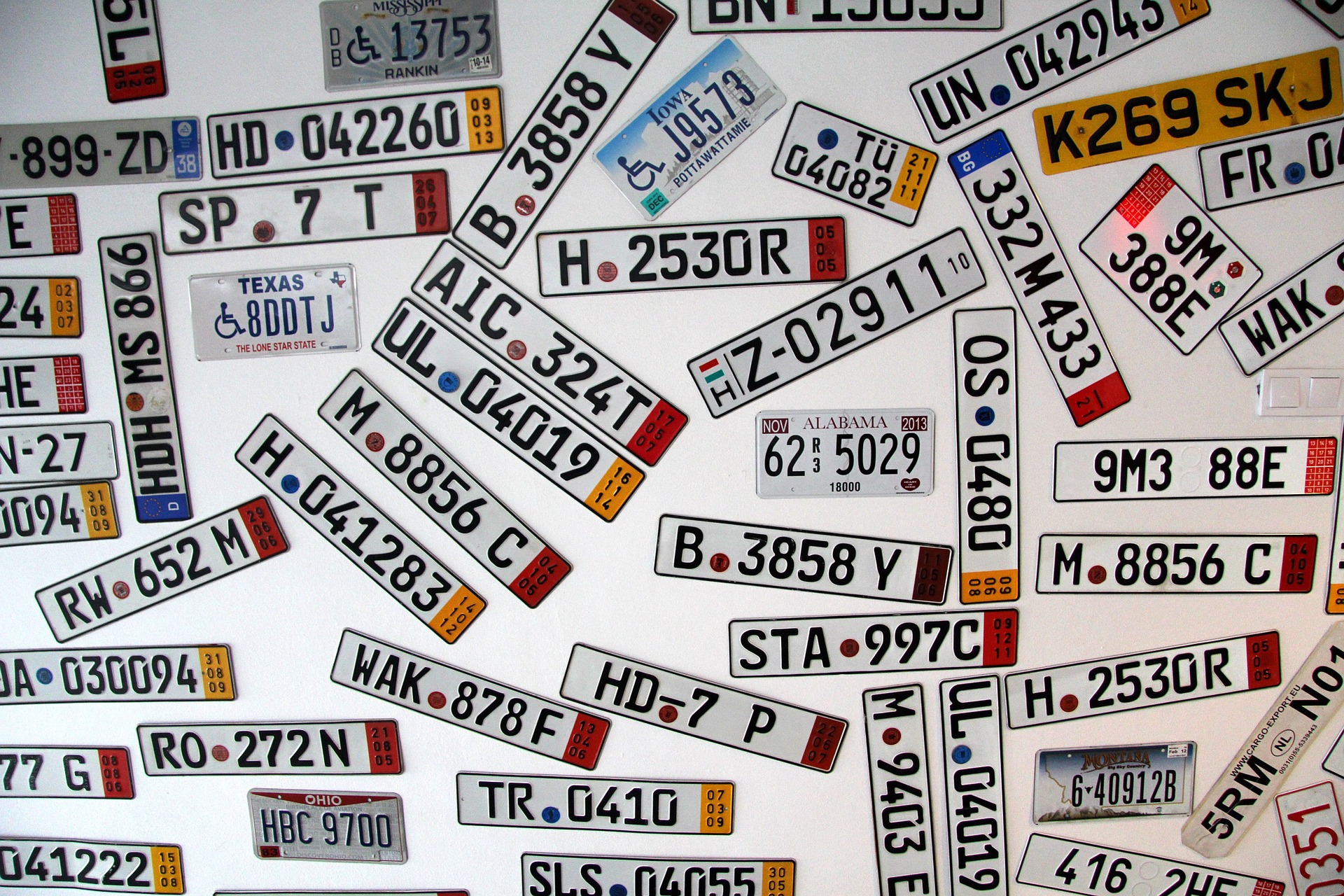 plaque immatriculation